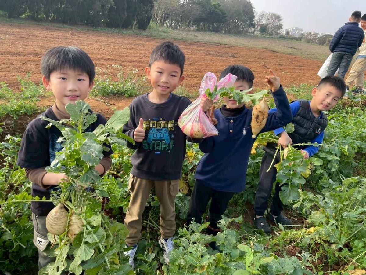 安親班挷菜頭 (29)