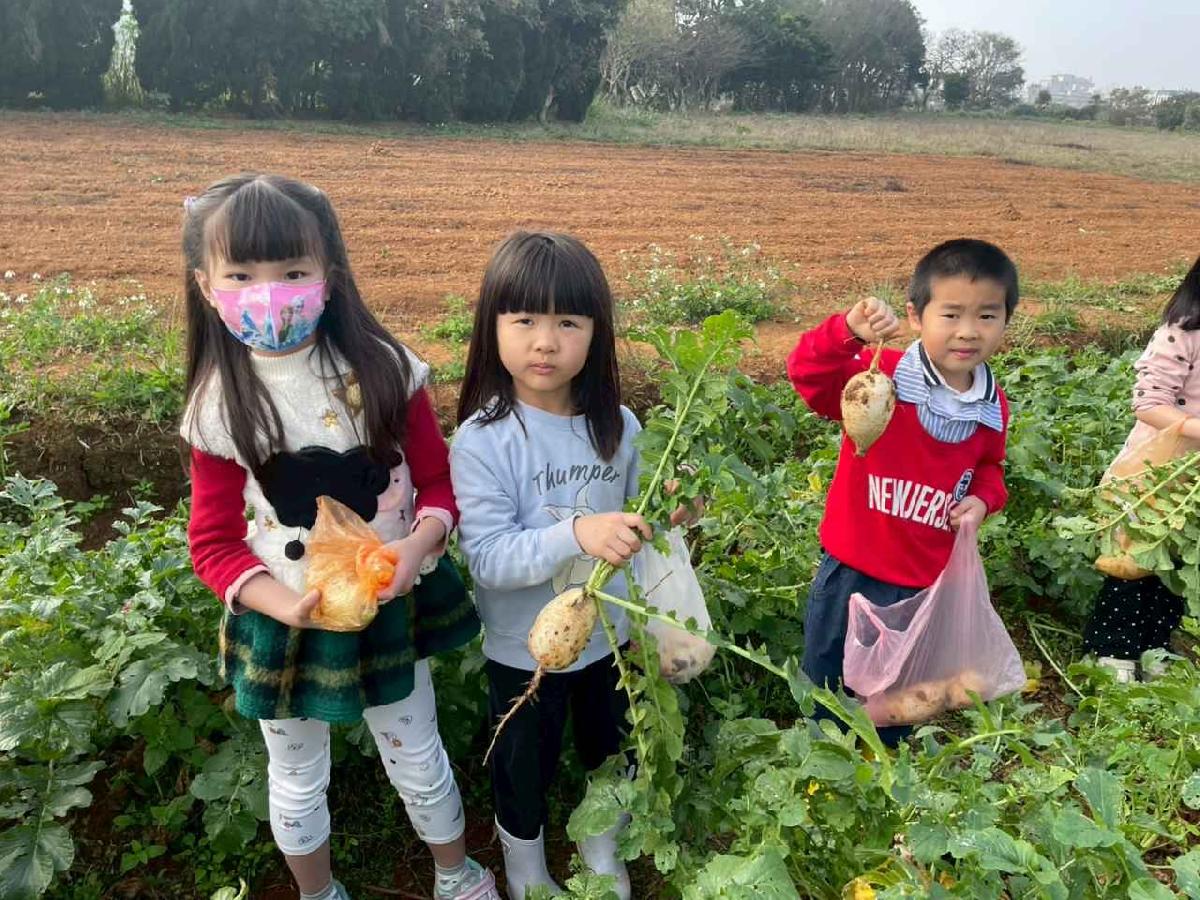 安親班挷菜頭 (30)