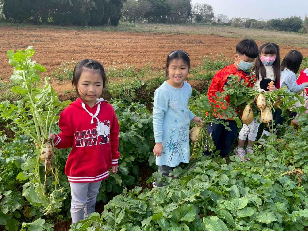 安親班挷菜頭 (31)