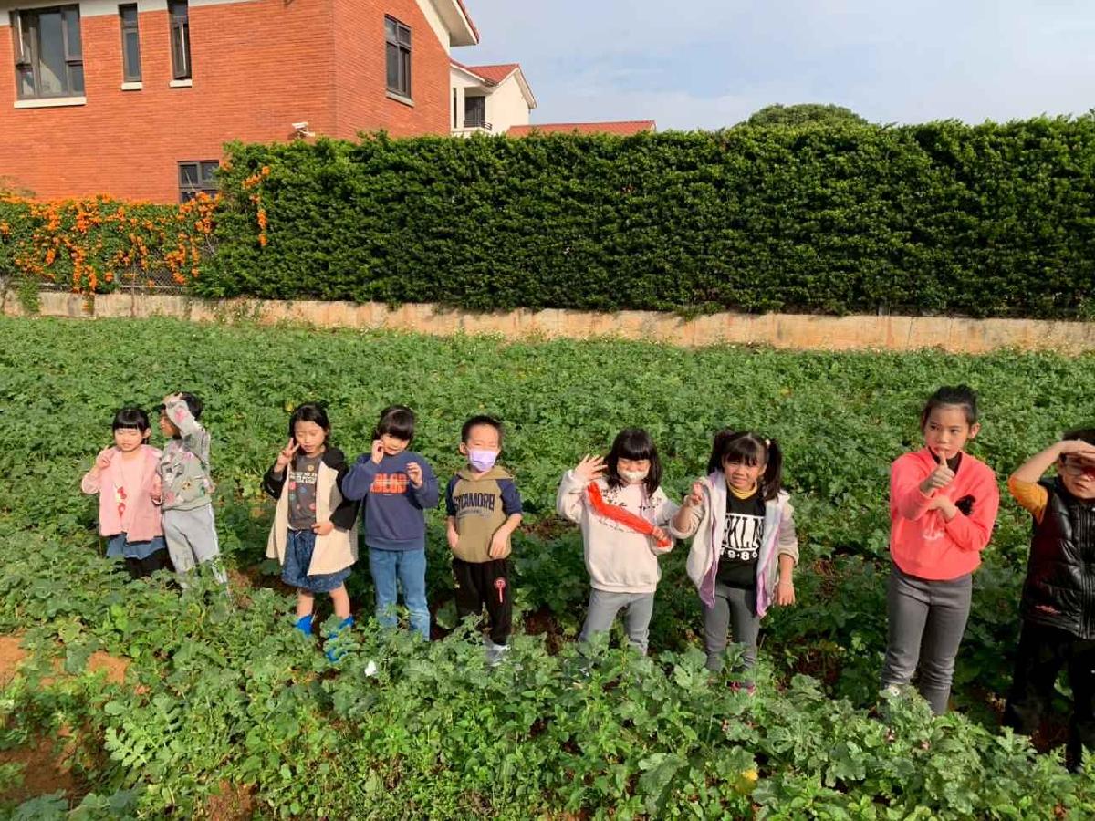 安親班挷菜頭 (35)