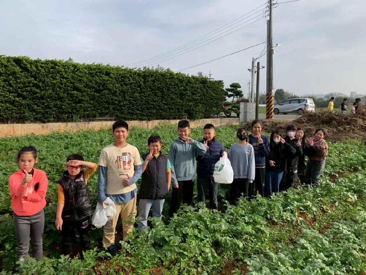 安親班挷菜頭 (36)