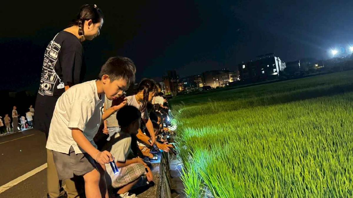 夜間活動～夜遊 (23)