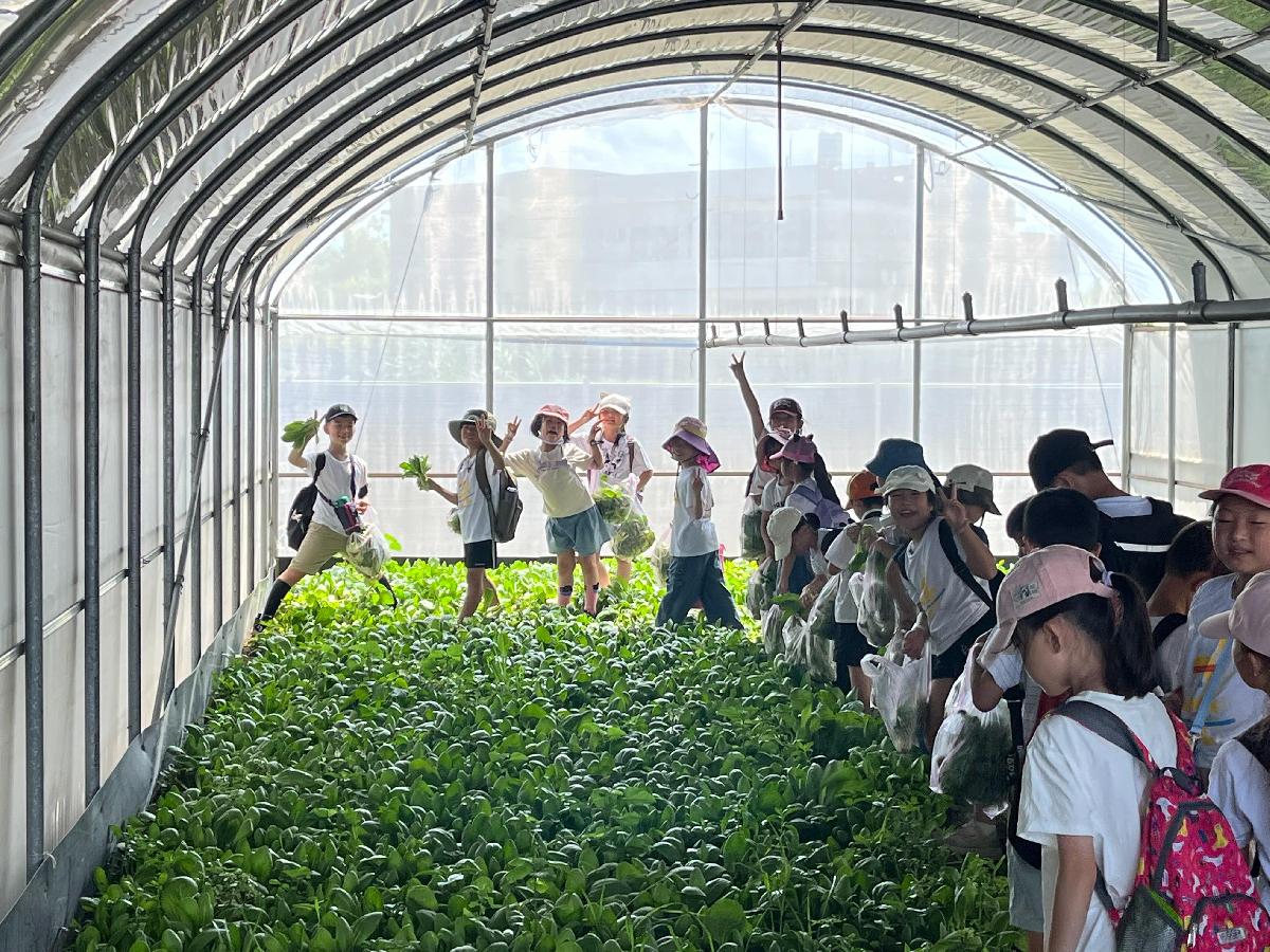良晨有機農場 (27)