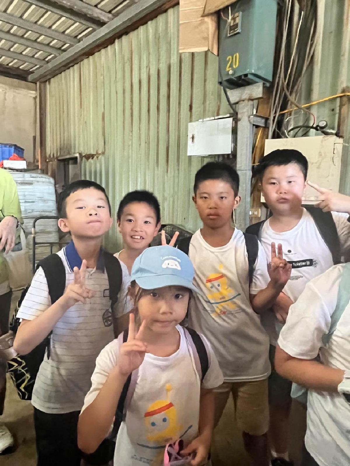 良晨有機農場 (7)