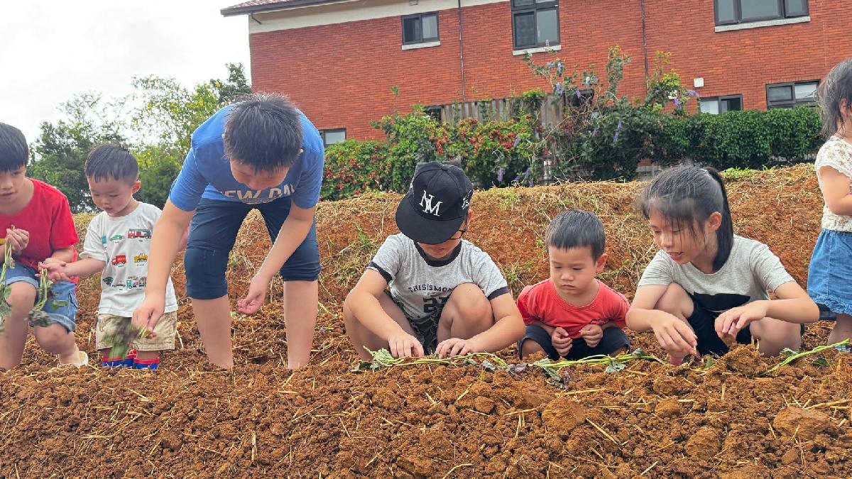 全園種地瓜 (31)