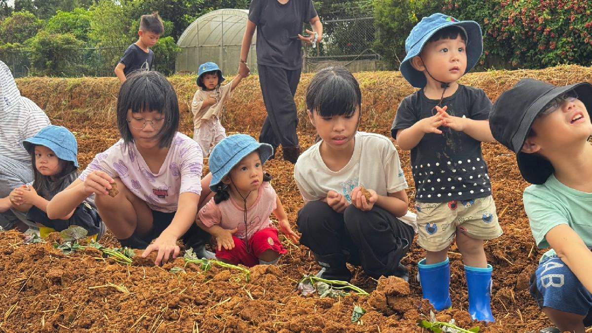 全園種地瓜 (41)
