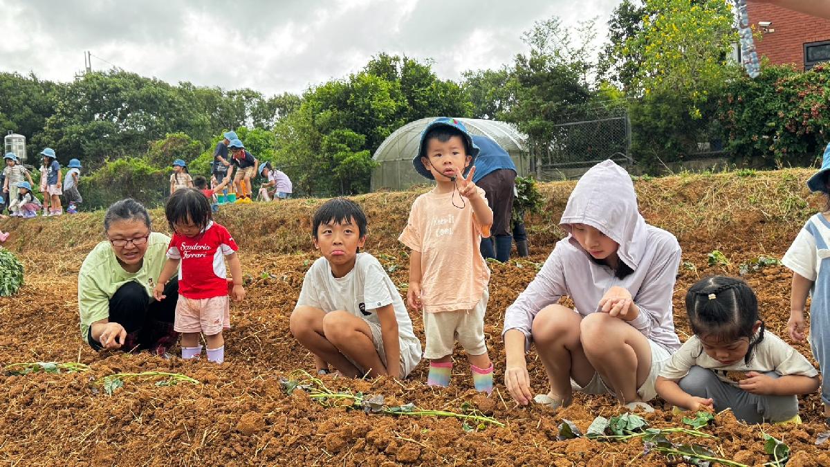 全園種地瓜 (45)