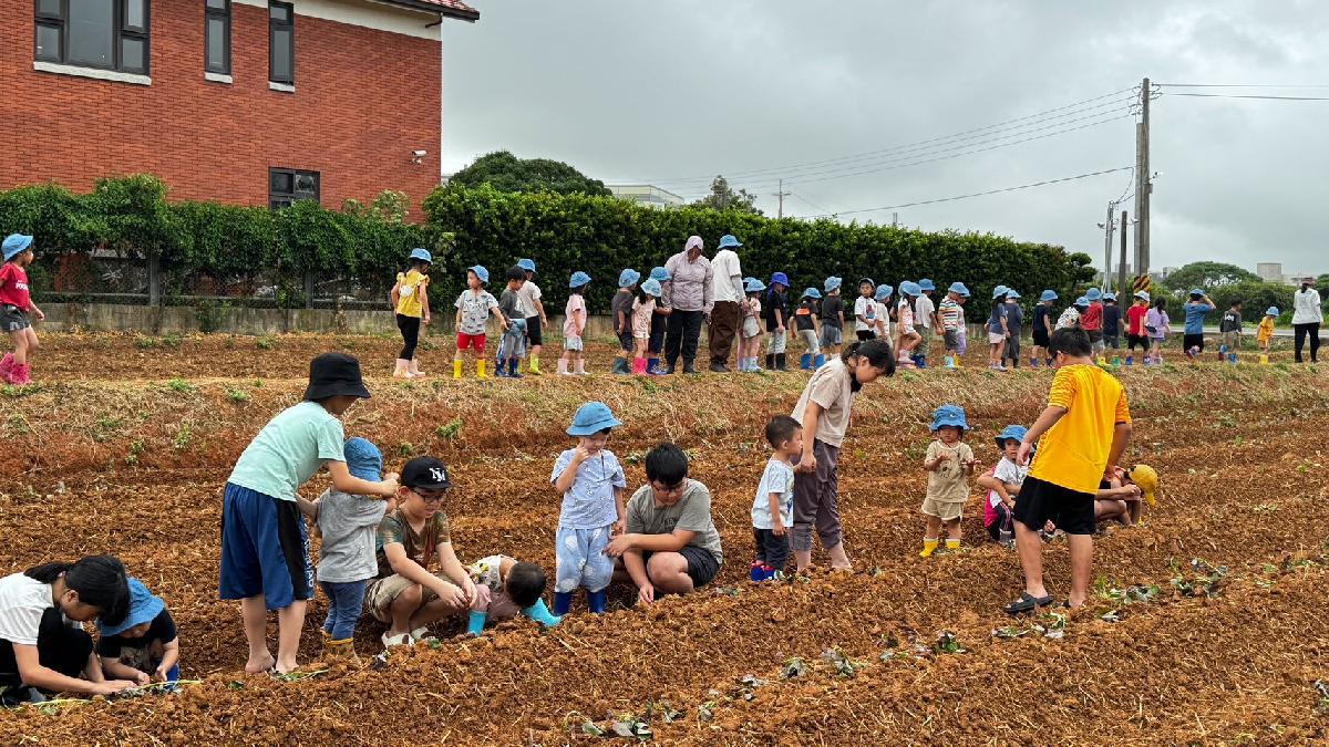 全園種地瓜 (48)