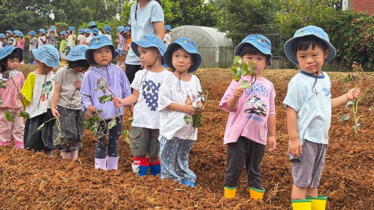 全園種地瓜 (13)