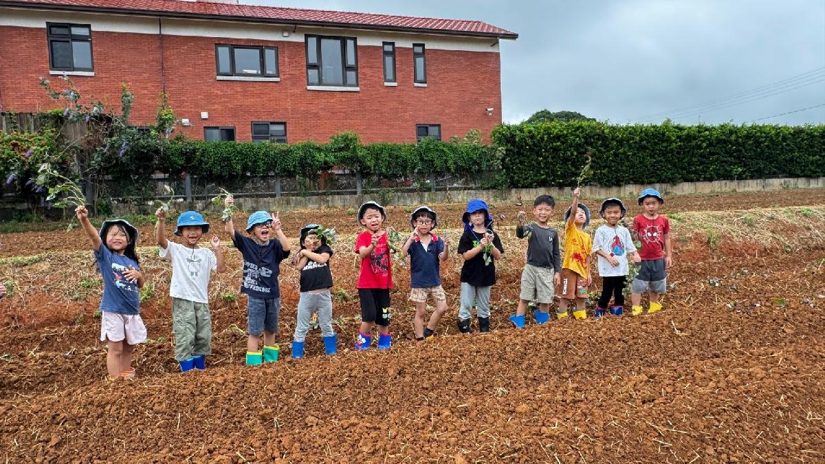 全園種地瓜 (17)