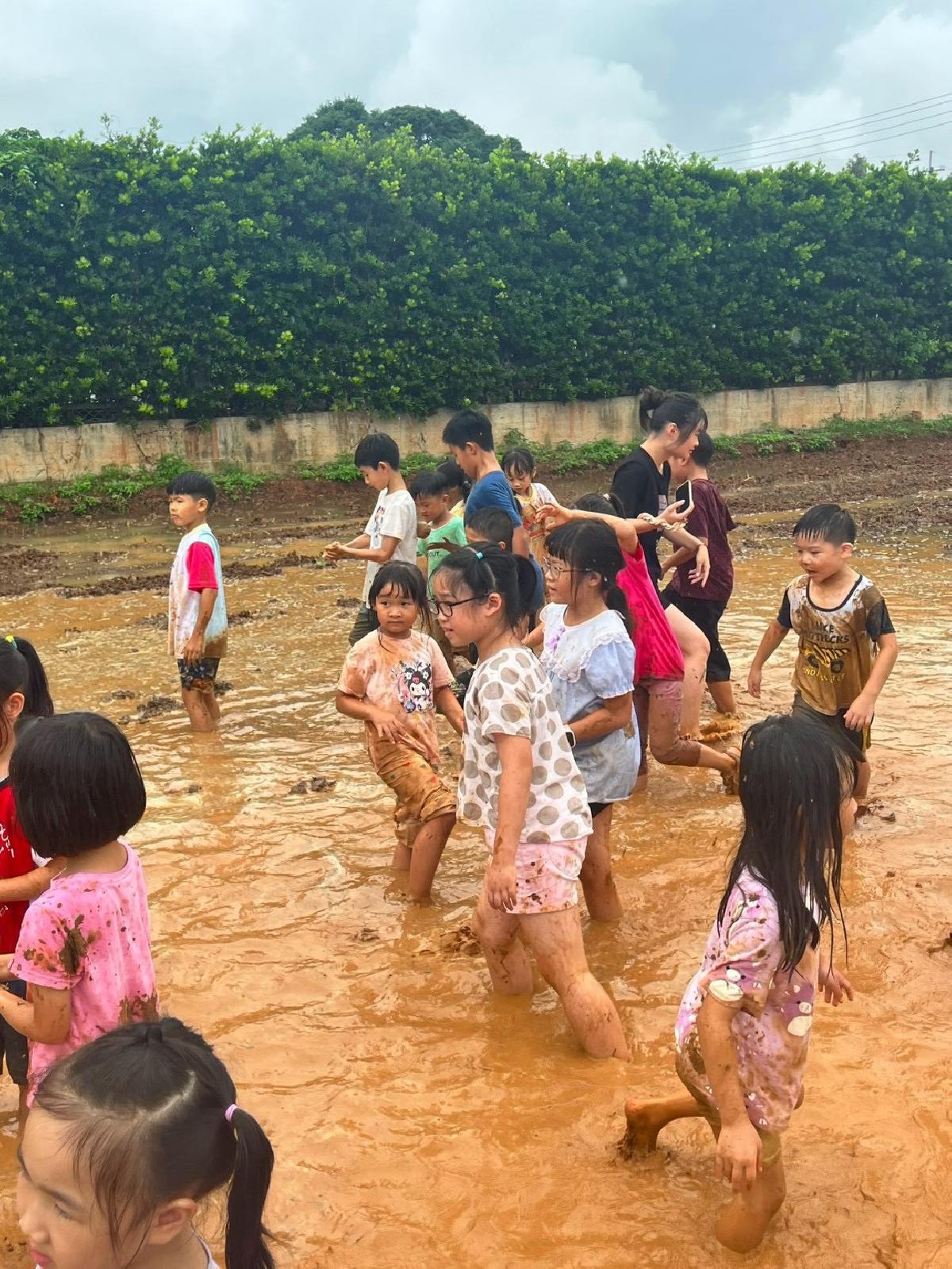 115-8-24-安親班田裡泥巴賽 (14)