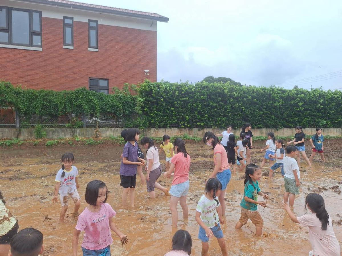 115-8-24-安親班田裡泥巴賽 (70)