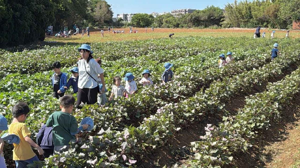 全園種菜頭花絮 (115)