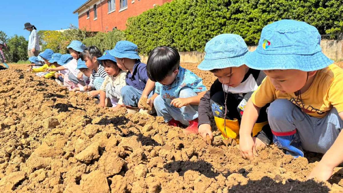 全園種菜頭花絮 (123)