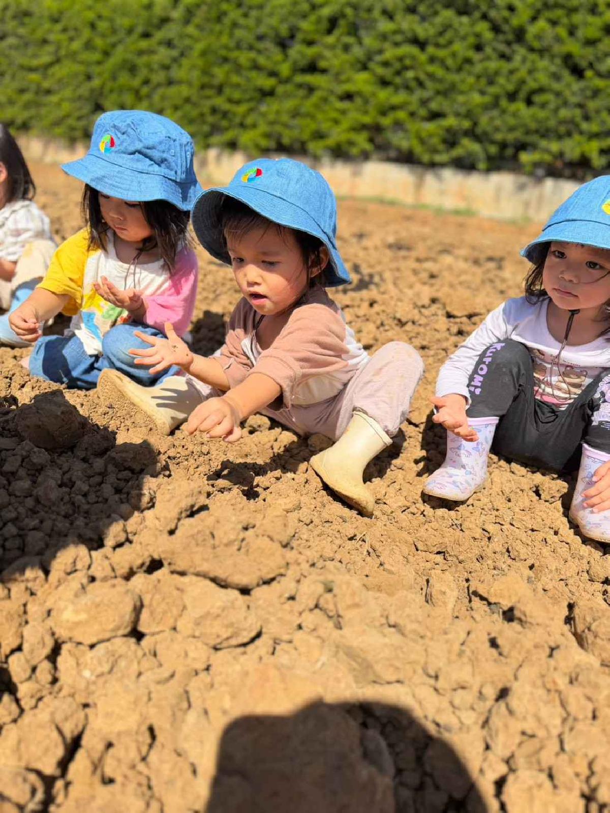 全園種菜頭花絮 (146)