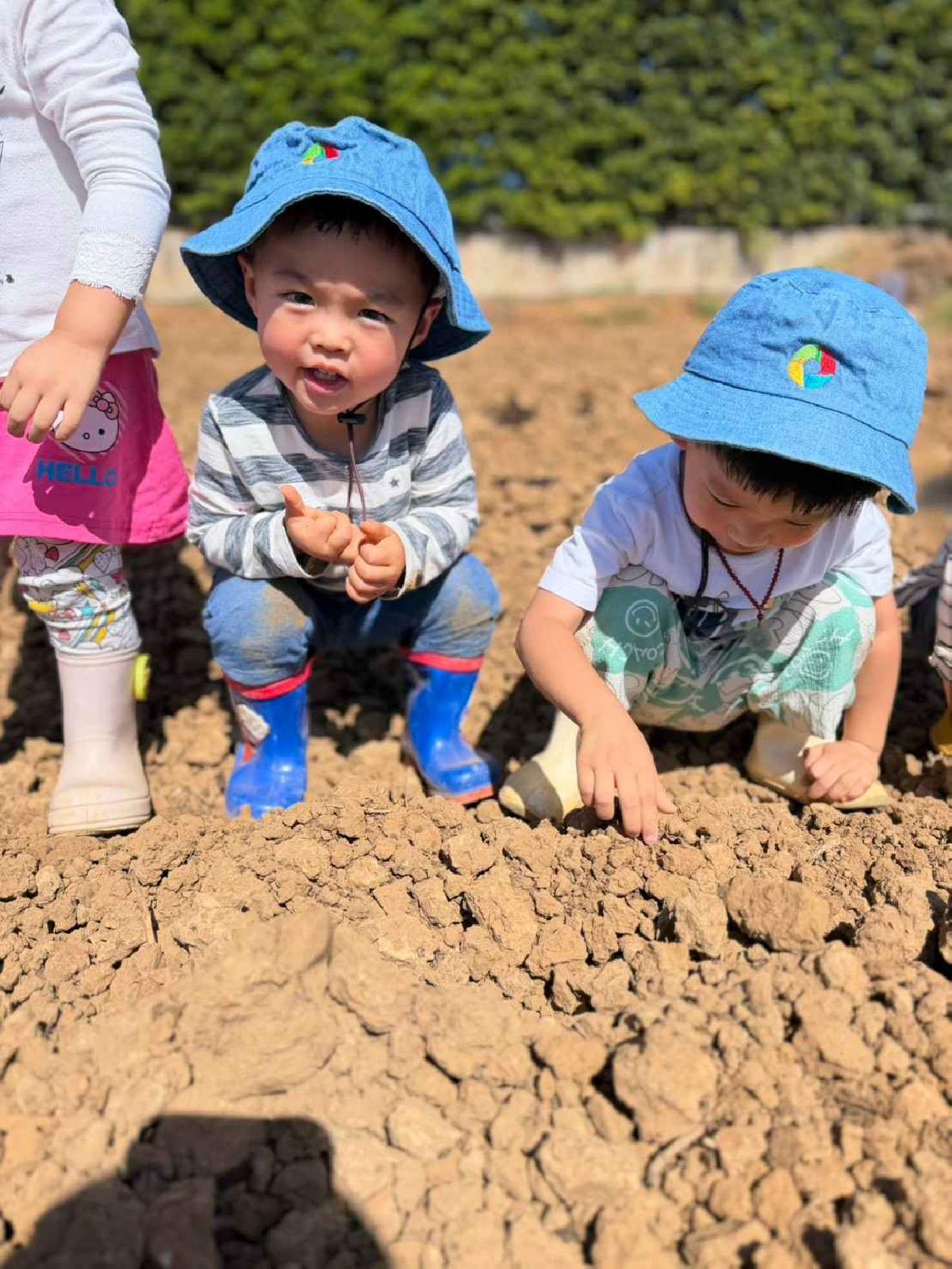 全園種菜頭花絮 (2)
