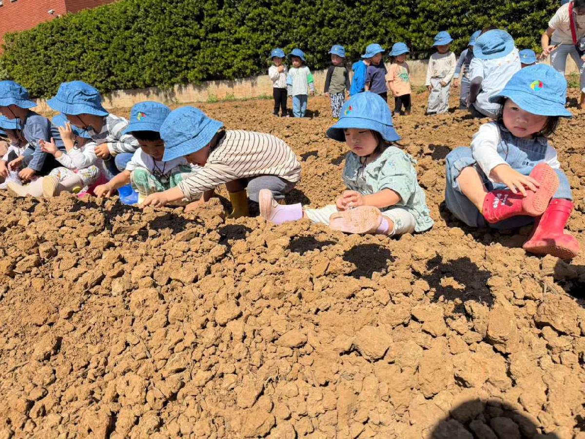 全園種菜頭花絮 (6)