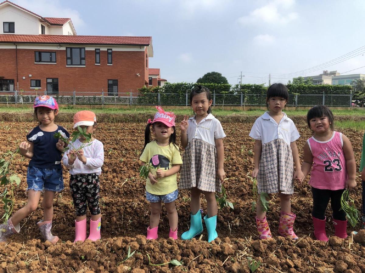 20190730_img_6413_調整大小 20190730_img_6413_調整大小
