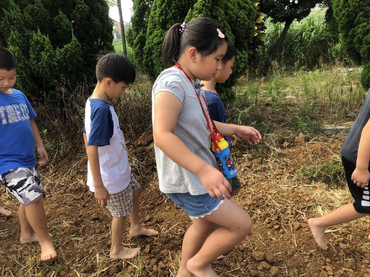 20190730_img_6416_調整大小 20190730_img_6416_調整大小