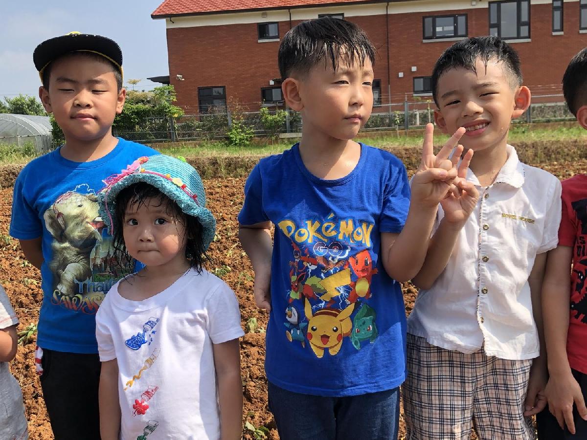 20190730_img_6453_調整大小 20190730_img_6453_調整大小