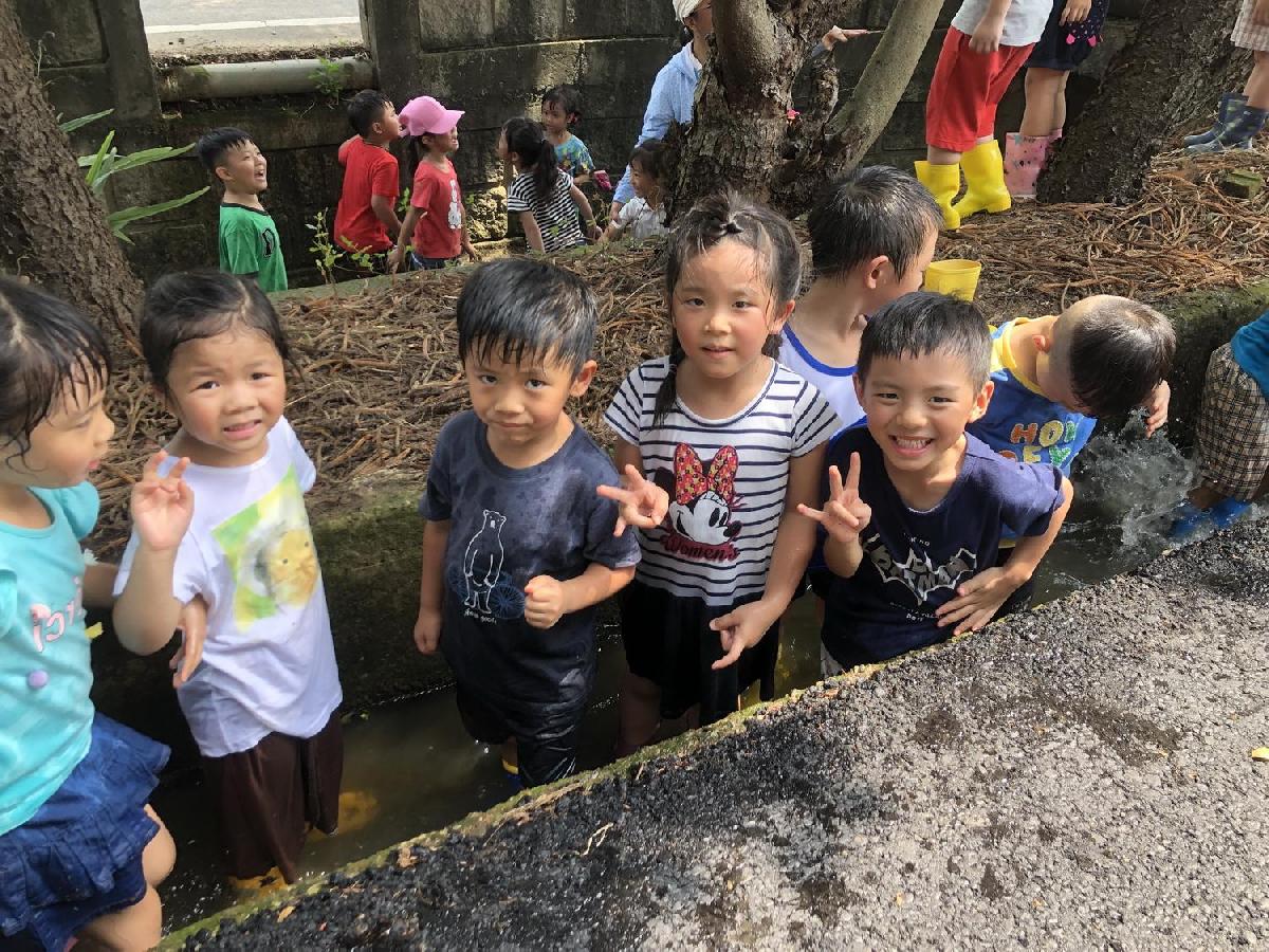 20190730_img_6557_調整大小 20190730_img_6557_調整大小