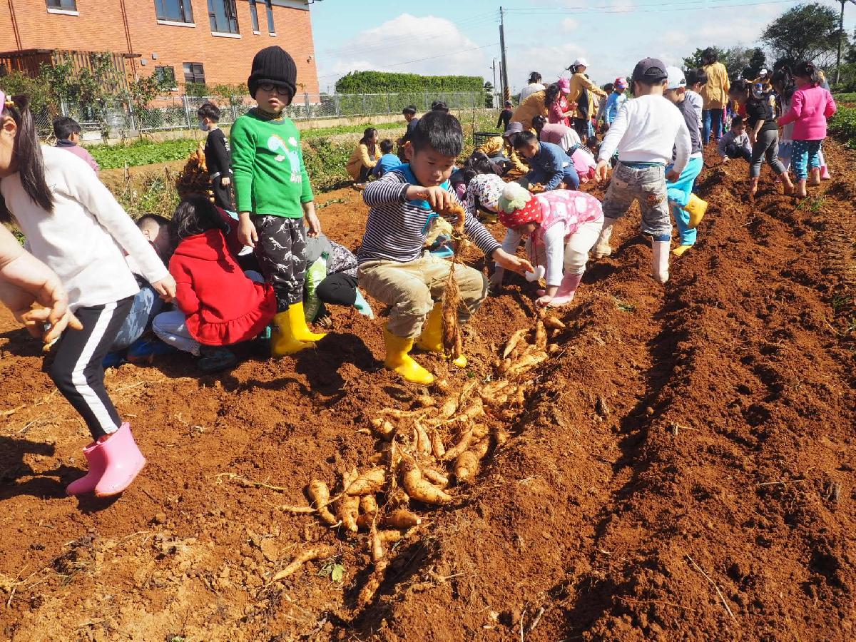109-12-22~田園樂找地瓜趣